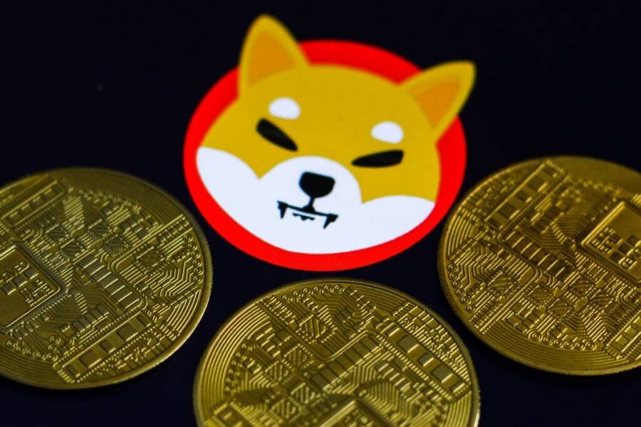 Shiba Semakin Mendunia, Kali Ini Dapat Restu dari Mastercard Argentina