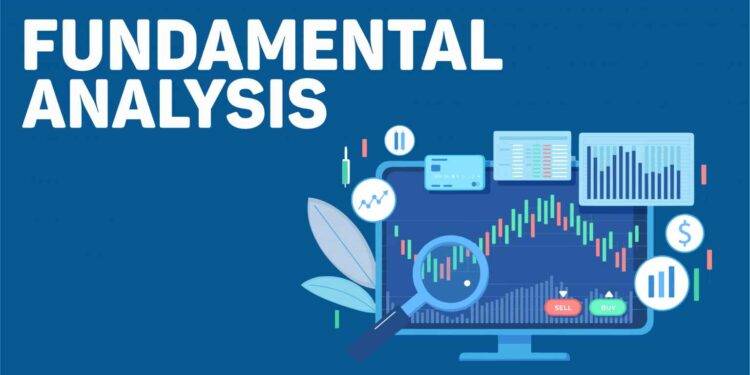 How to DYOR: Cara Menganalisa Fundamental Coin