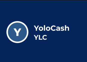 YoloCash Melonjak 5.570.000% lalu Dump Hingga 0$ dalam 24 Jam
