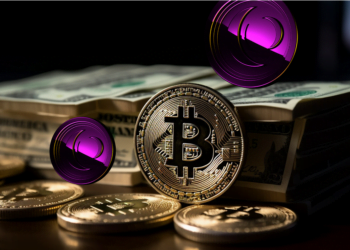 Rainbow Chart Bitcoin Prediksi Keuntungan untuk Solana dan Collateral Network