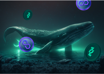 Investor Axie Infinity dan Polygon (MATIC) Beralih ke Tradecurve agar Cuan