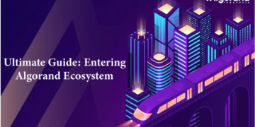 Panduan Lengkap Memasuki Ekosistem Algorand