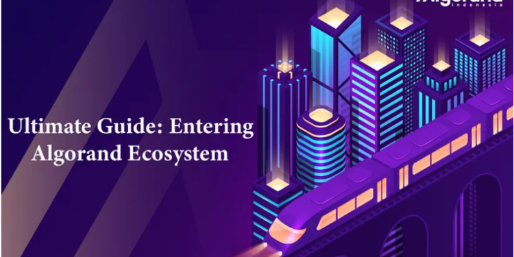 Panduan Lengkap Memasuki Ekosistem Algorand