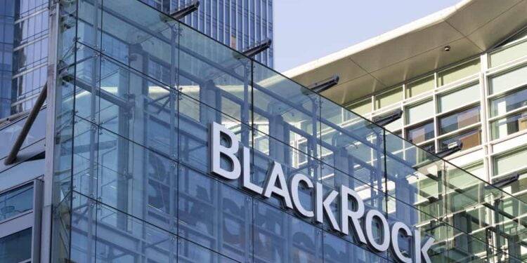 CEO BlackRock Berbicara Mengenai Potensi Crypto dan Peran ETF dalam Investasi