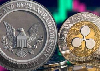 Chief Legal Officer Ripple sedang Mempersiapkan Banding SEC