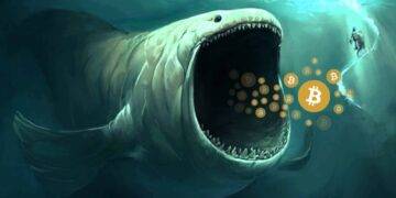 Bitcoin Wallet Misterius Menjadi Holders BTC Terbesar ke-3 dalam 3 Bulan