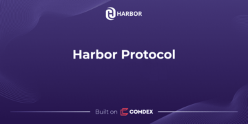 DeFi Protocol, Harbor Diretas dalam Serangan Terpisah