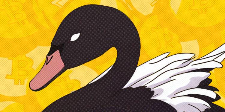 Mengantisipasi Peristiwa Black Swan di Market Cryptocurrency: Cara Mempersiapkan Diri dan Mengelola Risiko Mengantisipasi Peristiwa Black Swan di Market Cryptocurrency: Cara Mempersiapkan Diri dan Mengelola Risiko