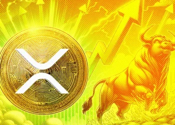 Harga XRP Naik 4,5% di Tengah Antisipasi Kasus Ripple vs SEC dan Akumulasi Whale