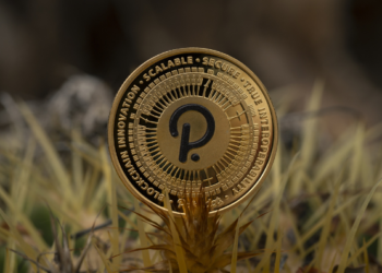 Raffle Coin (RAFF): Peluang Baru yang Curi Perhatian Investor Polkadot (DOT) dan Bitcoin Cash (BCH)