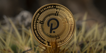 Raffle Coin (RAFF): Peluang Baru yang Curi Perhatian Investor Polkadot (DOT) dan Bitcoin Cash (BCH)