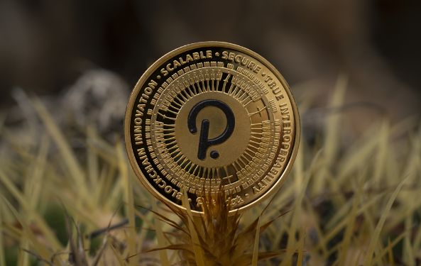 Raffle Coin (RAFF): Peluang Baru yang Curi Perhatian Investor Polkadot (DOT) dan Bitcoin Cash (BCH)