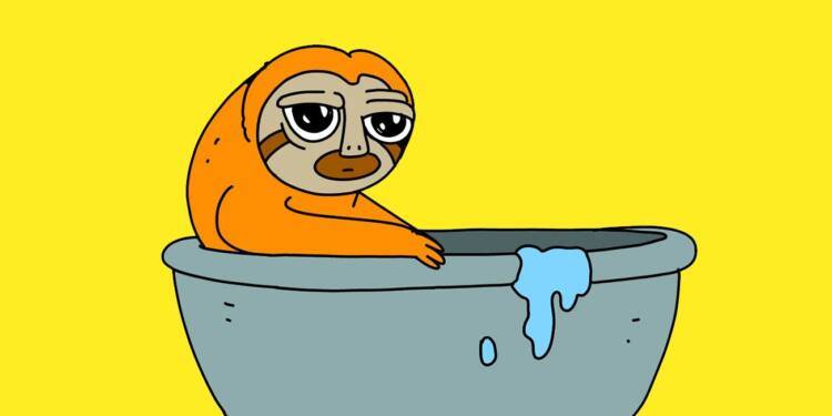 Memecoin Solana $SLERF, Secara Tidak Sengaja Melakukan ‘Burn’ Seluruh Token Supplynya Senilai $10Juta