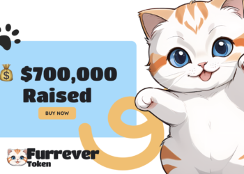 Bitcoin dan Ethereum Dalam Pemulihan, Sementara Furrever Token (FURR) Muncul dengan Peluang ROI yang Mengesankan