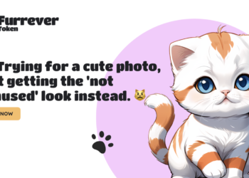 Mengatur Strategi Investasi Anda: Spotlight pada Ethereum (ETH), Solana (SOL), dan Furrever Token (FURR)