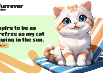 Mencari Aset Kripto dengan ROI Tinggi. Shiba Inu, Ethereum, atau Furrever Token?