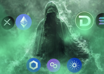 DTX Exchange Siap Mengungguli Meme Coin Teratas Seperti Bonk