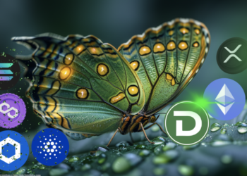 Solana dan Dogecoin Menarik Perhatian Investor Terhadap DTX Exchange Setelah Fitur Hybrid Diumumkan