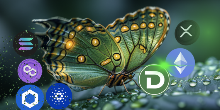 Solana dan Dogecoin Menarik Perhatian Investor Terhadap DTX Exchange Setelah Fitur Hybrid Diumumkan