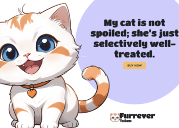 Selain Bitcoin dan Ethereum, Aset Kripto Ini Tidak Boleh Dilewati : Bonus 25% dari Furrever Token