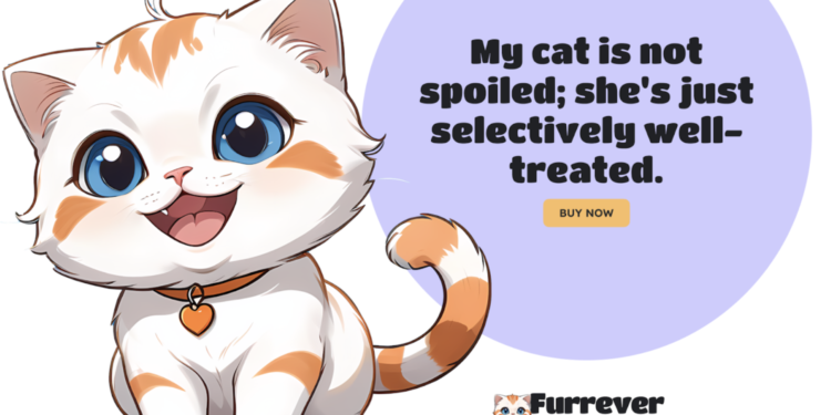 Selain Bitcoin dan Ethereum, Aset Kripto Ini Tidak Boleh Dilewati : Bonus 25% dari Furrever Token