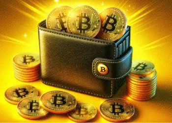 Mau Mulai Trading Crypto, Tapi Gatau Crypto Wallet? Ini Pengertiannya