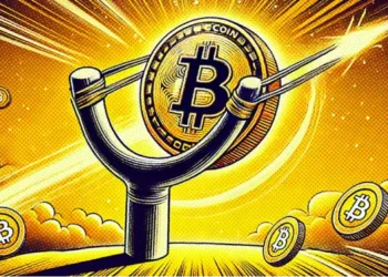 Bitcoin Siap Cetak Rekor All Time High Baru di Akhir 2024?