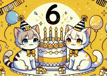 Catizen Raih 800 Ribu Pengguna Berbayar dalam 6 Bulan Pertama