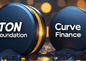 TON Kembangkan Proyek Swap Stablecoin