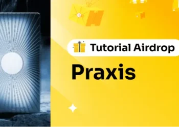Tutorial Airdrop Praxis