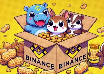 80% Memecoin Melejit Setelah Listing di Binance pada 2024!