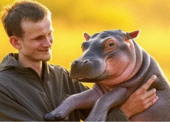 Vitalik Buterin Adopsi Moo Deng Senilai 88 $ETH dan Harga MOODENG Melonjak 70%