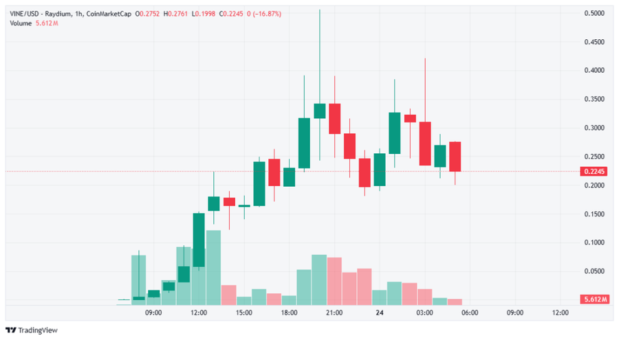 VINECOIN, Meme Coin dari Platform Legendaris yang Siap Menyaingi TikTok