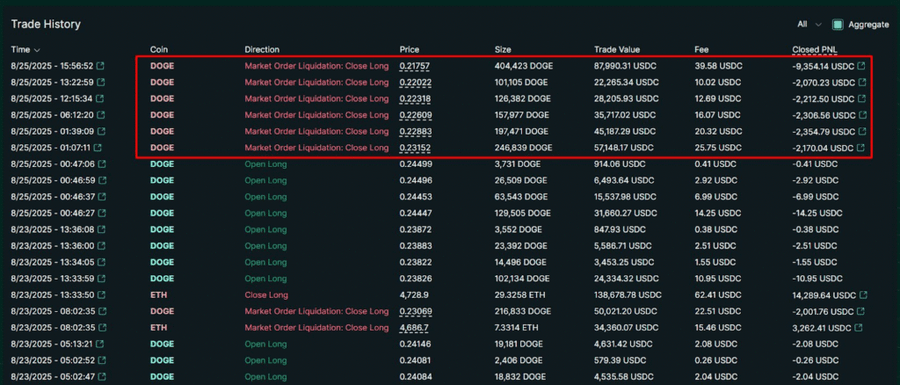 Miliarder Kripto James Wynn Kena Likuidasi $DOGE, Tapi Tetap Optimis Bull Run